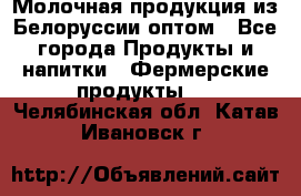 Молочная продукция из Белоруссии оптом - Все города Продукты и напитки » Фермерские продукты   . Челябинская обл.,Катав-Ивановск г.